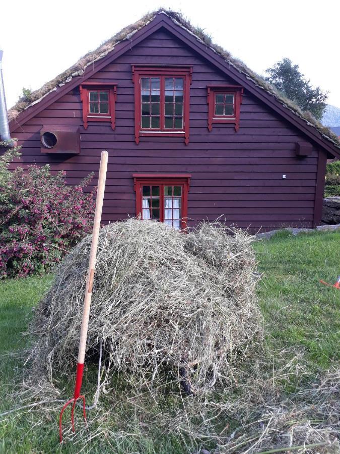 Orheimstunet - Gardsferie For Storfamilien Der Ogsa Hunden Er Velkommen Starheim Extérieur photo