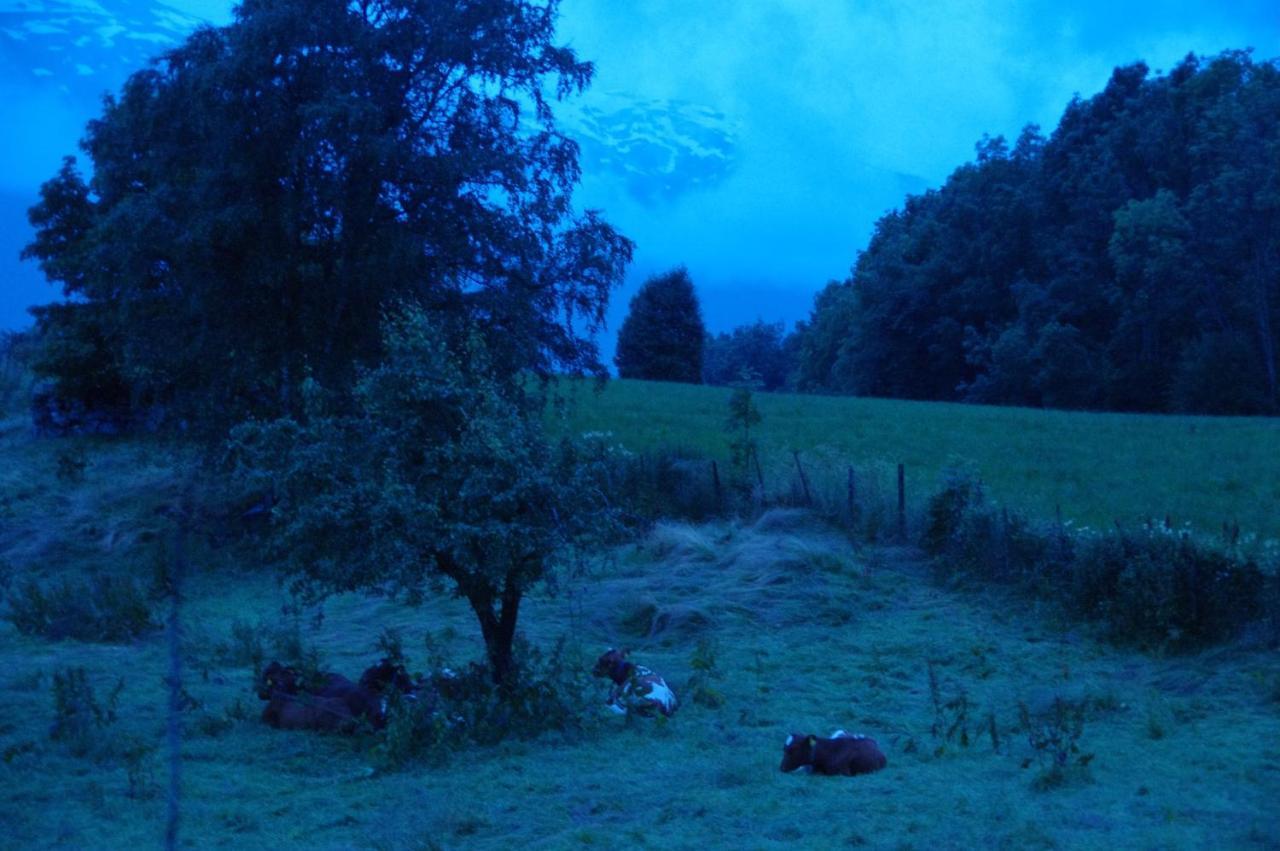 Orheimstunet - Gardsferie For Storfamilien Der Ogsa Hunden Er Velkommen Starheim Extérieur photo