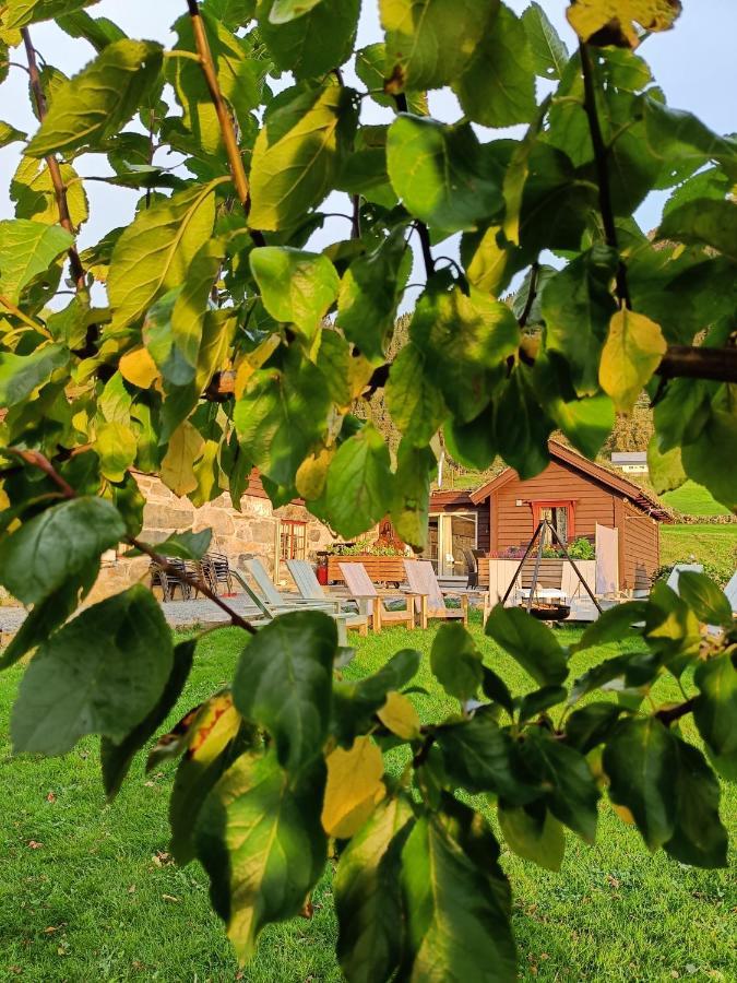 Orheimstunet - Gardsferie For Storfamilien Der Ogsa Hunden Er Velkommen Starheim Extérieur photo