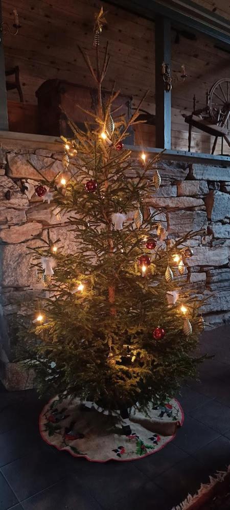 Orheimstunet - Gardsferie For Storfamilien Der Ogsa Hunden Er Velkommen Starheim Extérieur photo